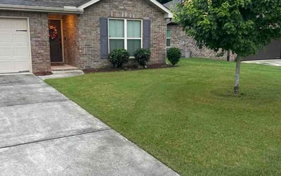 Photo of Misty P.'s yard after getting tree care in Chester, SC