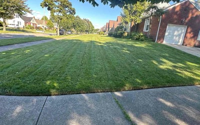 Photo of Gina T.'s yard after getting lawn care in Avon, OH