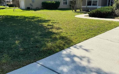 Photo of Stan J.'s yard after getting lawn care in Saint Augustine, FL