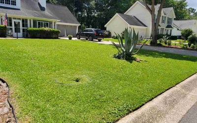 Photo of Dixie S.'s yard after getting lawn care in Carmel, IN