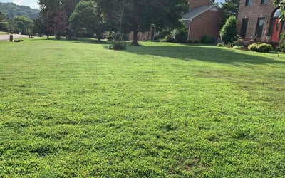 Photo of Tim R.'s yard after getting lawn care in Canyon Lake, TX