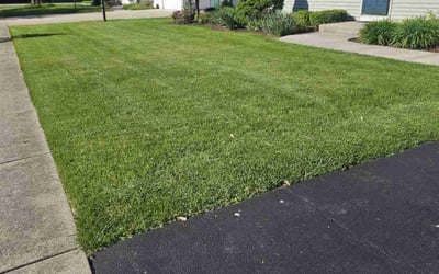 Photo of Alexander M.'s yard after getting lawn care in Mchenry, IL