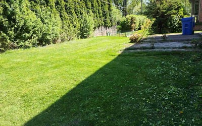 Photo of Melissa B.'s yard after getting lawn care in Mount Prospect, IL