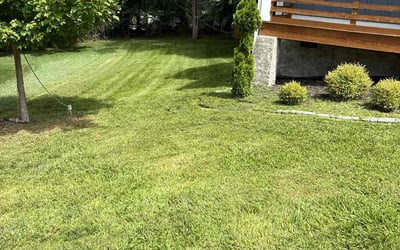 Photo of George P.'s yard after getting lawn care in Sanford, FL