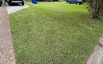 Photo of Kim L.'s yard after getting lawn care in Provo, UT