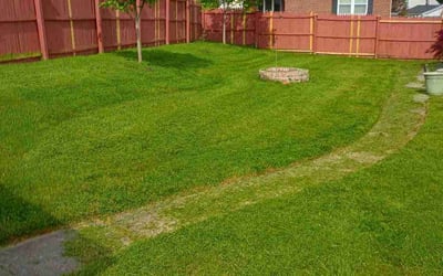 Photo of Devan S.'s yard after getting lawn care in Essex, MD