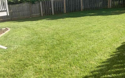 Photo of Andy W.'s yard after getting lawn care in Martinsburg, WV