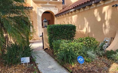 Photo of Jeanne H.'s yard after getting tree care in Oldsmar, FL