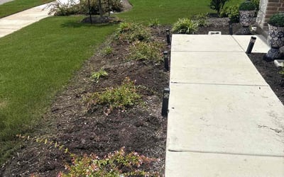Photo of Ryan P.'s yard after getting lawn care in Taylor, MI