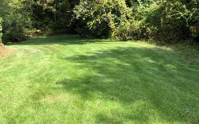Photo of Cierra G.'s yard after getting lawn care in Douglasville, GA