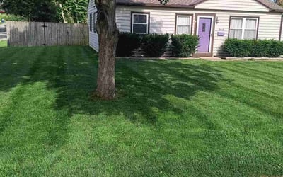 Photo of Tamara L.'s yard after getting lawn care in Lees Summit, MO