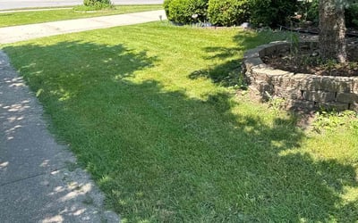 Photo of marla w.'s yard after getting lawn care in Orland Park, IL