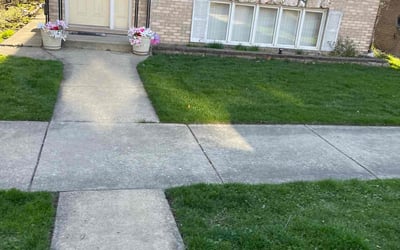 Photo of Johnny M.'s yard after getting lawn care in Berwyn, IL