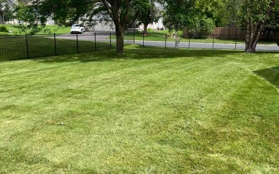 Photo of Lisa N.'s yard after getting lawn care in Prior Lake, MN