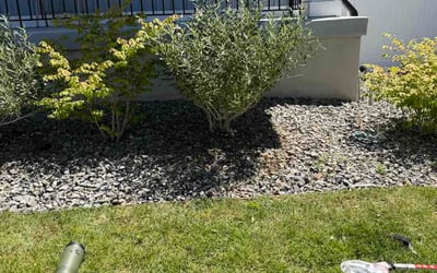 Photo of Priscilla P.'s yard after getting lawn care in Denver, PA