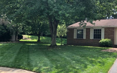 Photo of Alida A.'s yard after getting lawn care in Centreville, VA