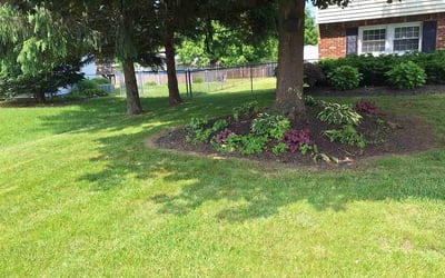 Photo of Gregory H.'s yard after getting lawn care in Cicero, NY