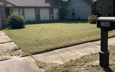 Photo of Brandon T.'s yard after getting lawn care in Mentor, OH