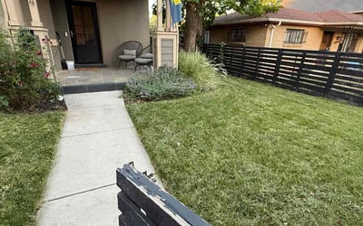 Photo of Tami W.'s yard after getting lawn care in Belleville, NJ