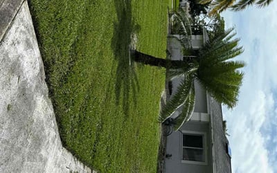 Photo of Chelsea F.'s yard after getting lawn care in Port Orange, FL