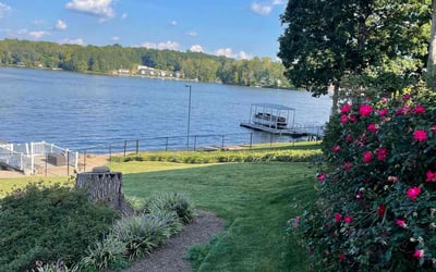Photo of Jan R.'s yard after getting lawn care in Lexington, NC