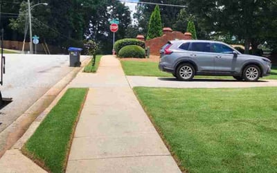 Photo of John G.'s yard after getting lawn care in Sun Prairie, WI