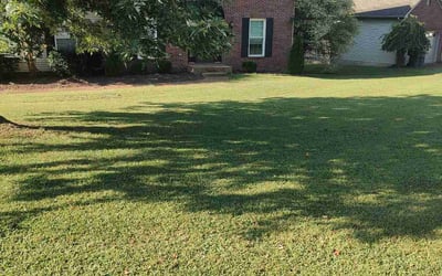 Photo of April S.'s yard after getting lawn care in Old Hickory, TN