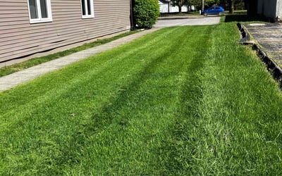 Photo of Jessie P.'s yard after getting lawn care in Newark, OH