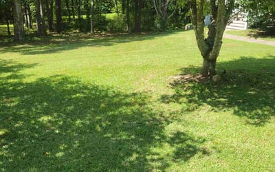 Photo of Beverly M.'s yard after getting lawn care in La Fayette, GA
