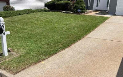 Photo of Carrie L.'s yard after getting lawn care in Elk River, MN