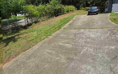 Photo of Lori S.'s yard after getting lawn care in Hopkins, MN