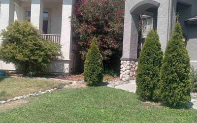 Photo of Alyse M.'s yard after getting lawn care in Stockton, CA