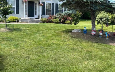 Photo of Shawn C.'s yard after getting lawn care in Berryville, VA