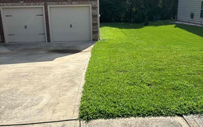 Photo of Carita B.'s yard after getting lawn care in Hampton, GA