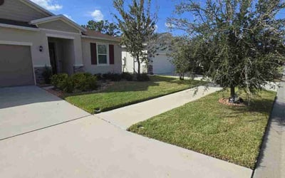Photo of Paul S.'s yard after getting lawn care in Birmingham, AL