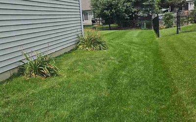 Photo of Laura S.'s yard after getting lawn care in Manchester, NH