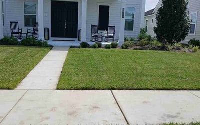 Photo of Olivia P.'s yard after getting lawn care in Brooksville, FL