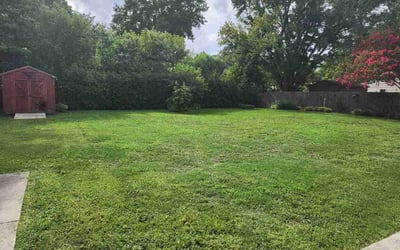 Photo of Aurora K.'s yard after getting lawn care in Greenfield, IN
