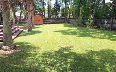 Photo of Kelsey K.'s yard after getting lawn care in Columbus, OH