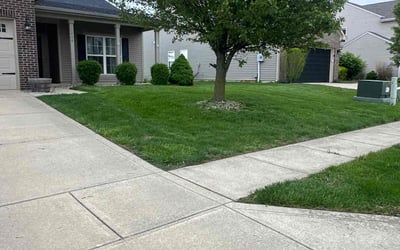 Photo of Jess O.'s yard after getting tree care in Pflugerville, TX