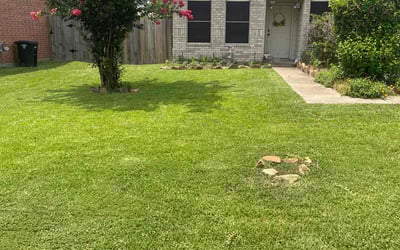 Photo of Michelle A.'s yard after getting lawn care in Riverhead, NY