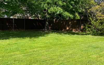Photo of Thomas N.'s yard after getting lawn care in Mashpee, MA