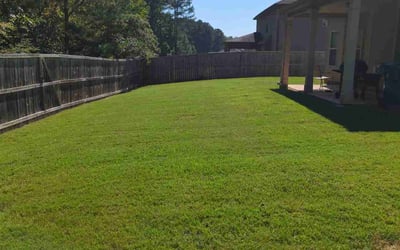 Photo of Cliff A.'s yard after getting lawn care in La Fayette, GA