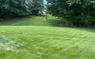 Photo of Traci H.'s yard after getting lawn care in Belmont, NC