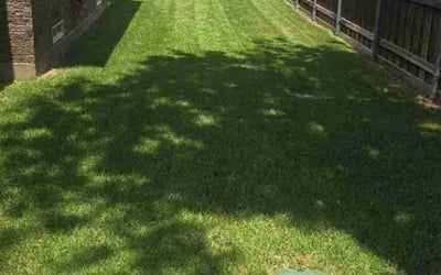 Photo of Yesenia S.'s yard after getting lawn care in Farmers Branch, TX