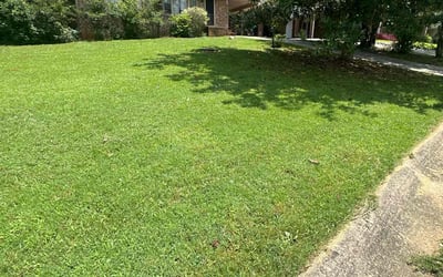 Photo of Kevin G.'s yard after getting lawn care in Rex, GA