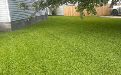 Photo of Beth F.'s yard after getting lawn care in Portsmouth, NH