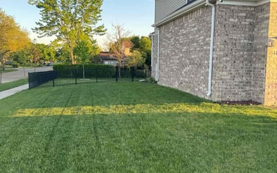 Photo of Alex D.'s yard after getting lawn care in Trenton, MI