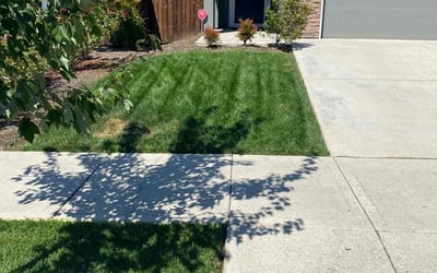 Photo of Jorge F.'s yard after getting lawn care in Ridgefield, WA