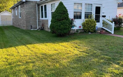 Photo of Arriayne C.'s yard after getting lawn care in Charleston, WV